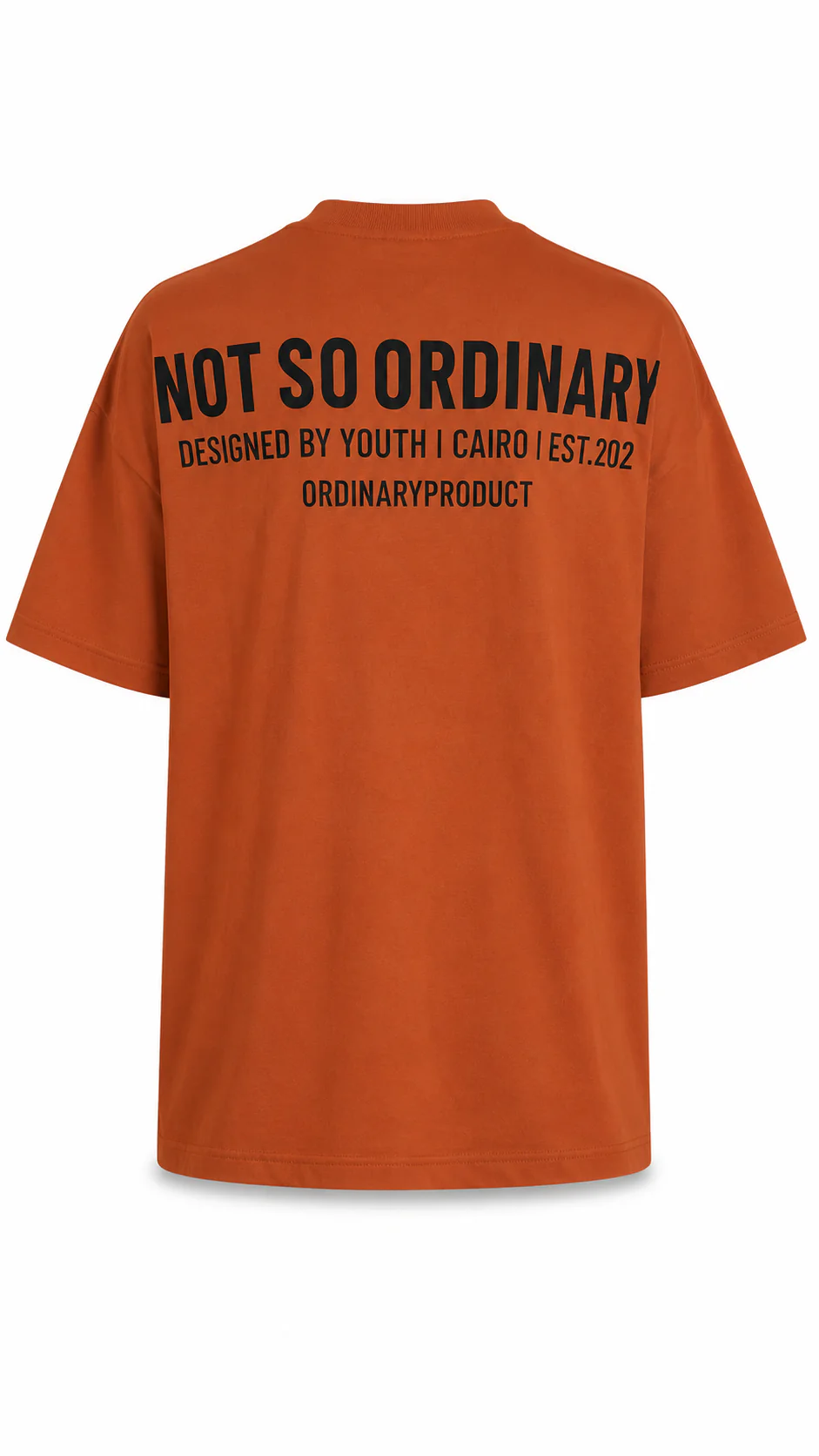 NSO T-Shirt - Image 41