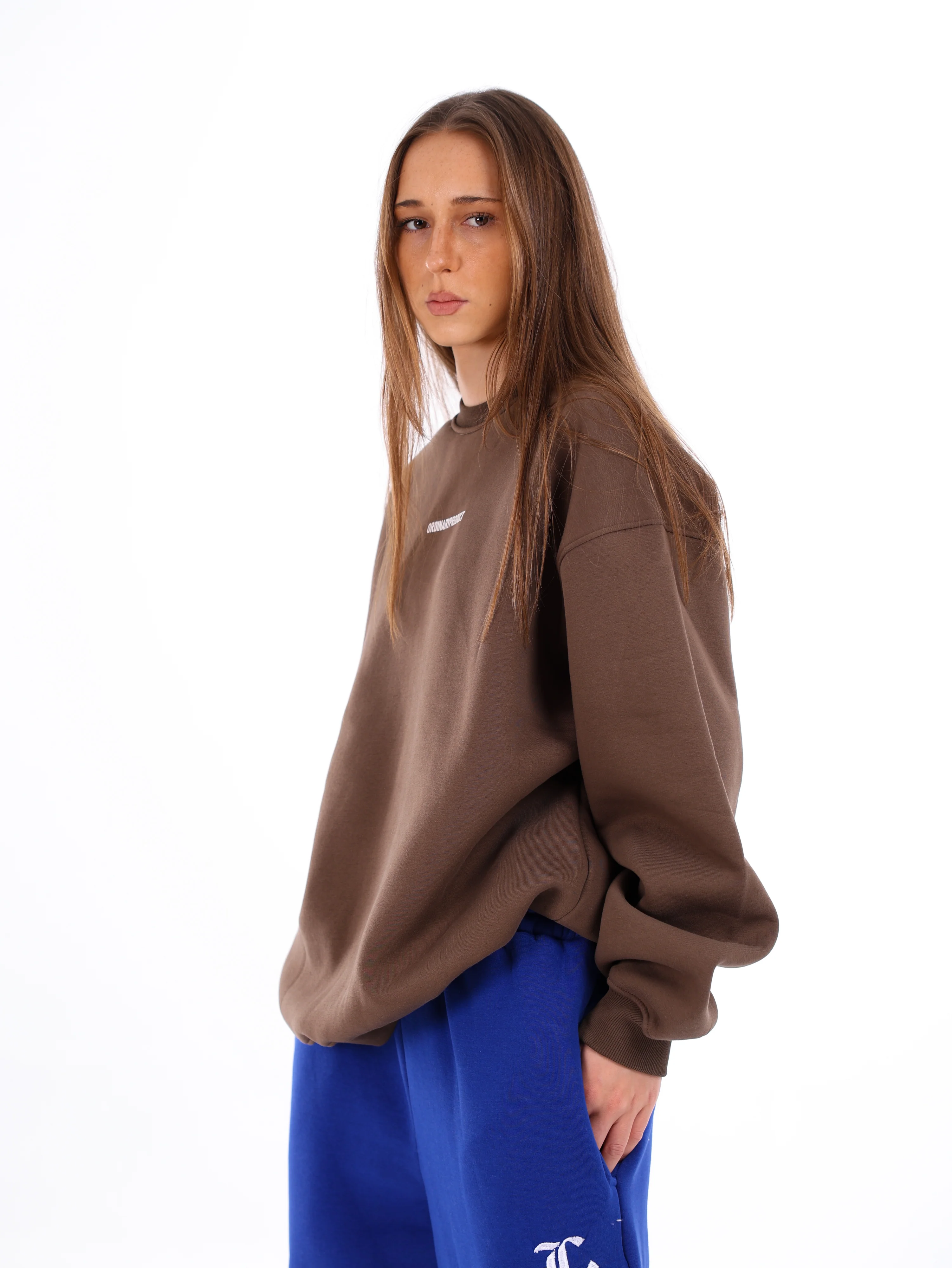 Ordinary Sweatshirt - Image 11