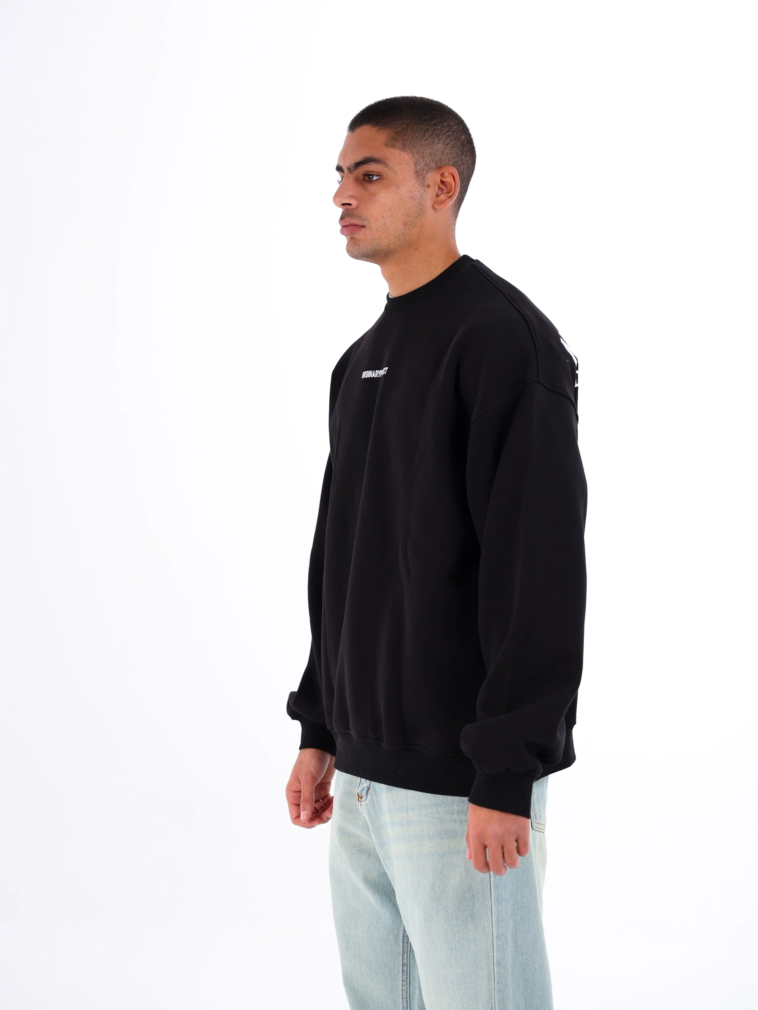Ordinary Sweatshirt - Image 14