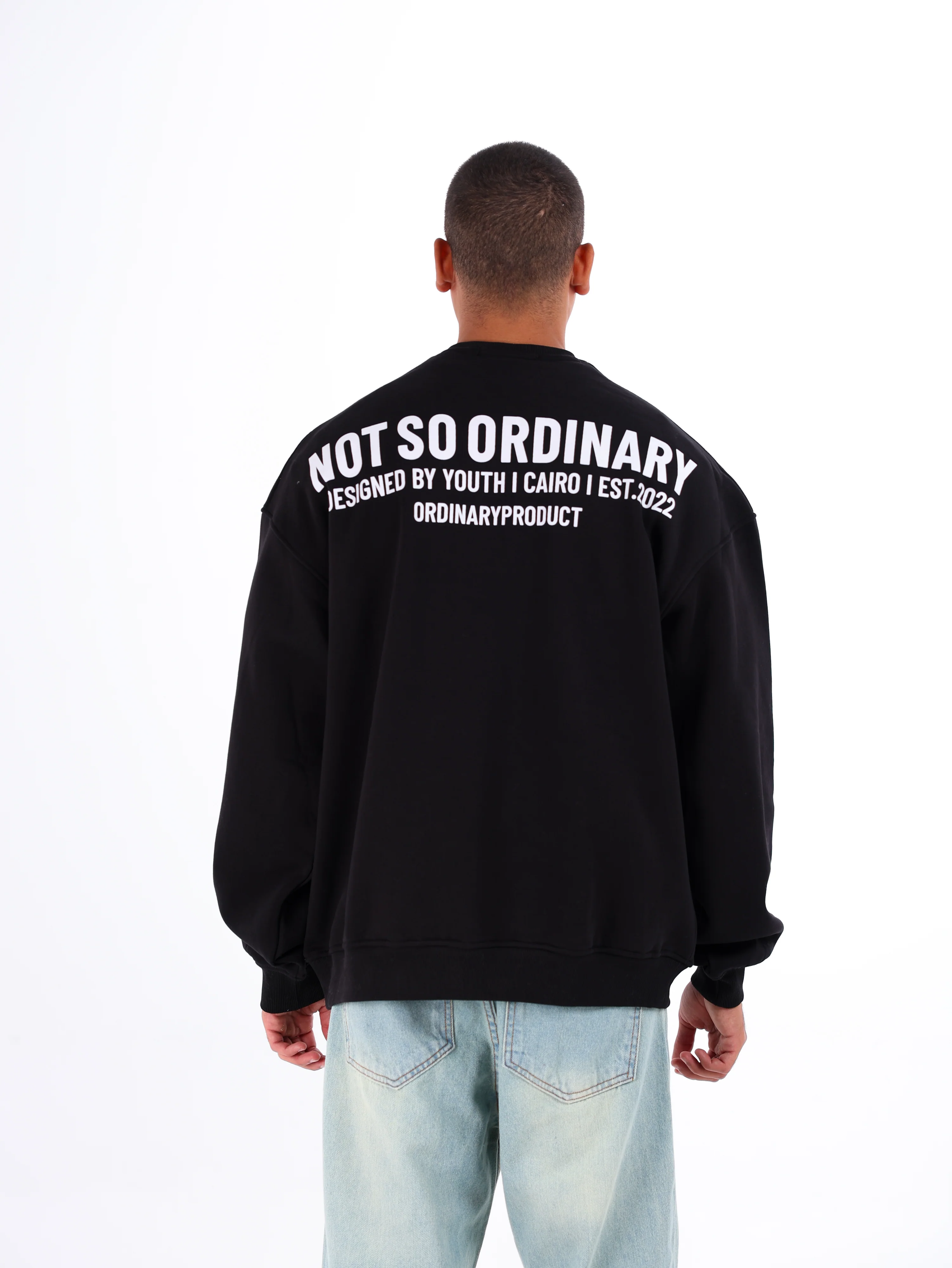 Ordinary Sweatshirt - Image 15
