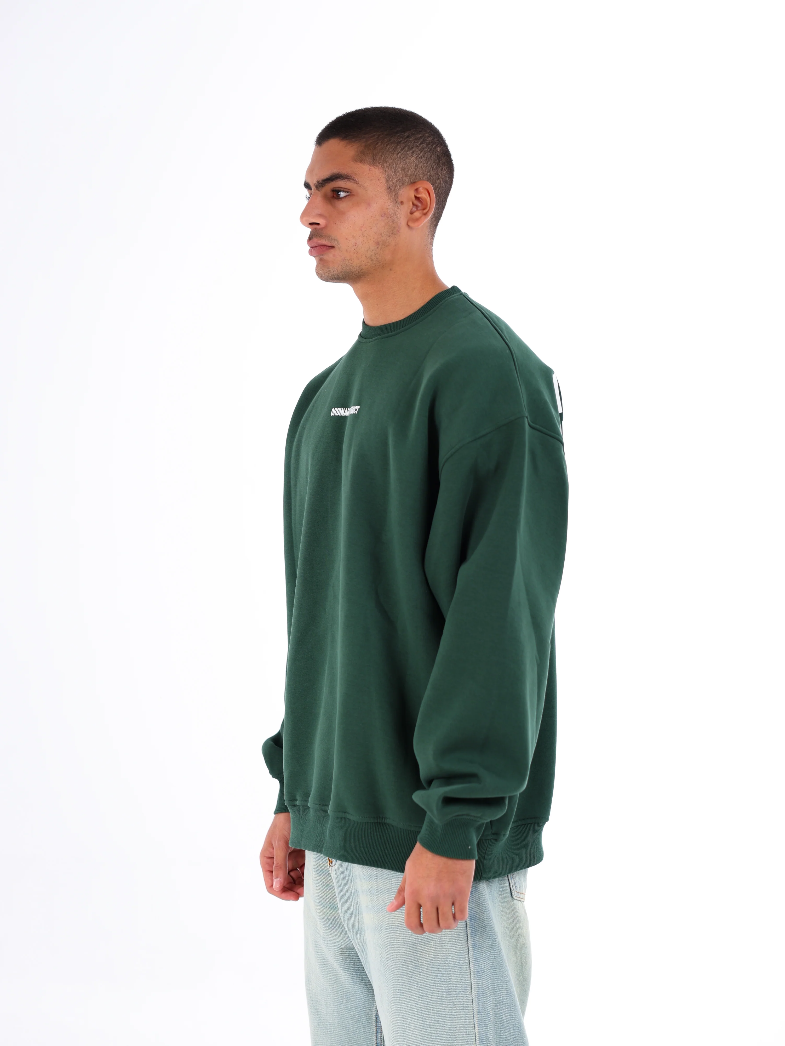 Ordinary Sweatshirt - Image 19
