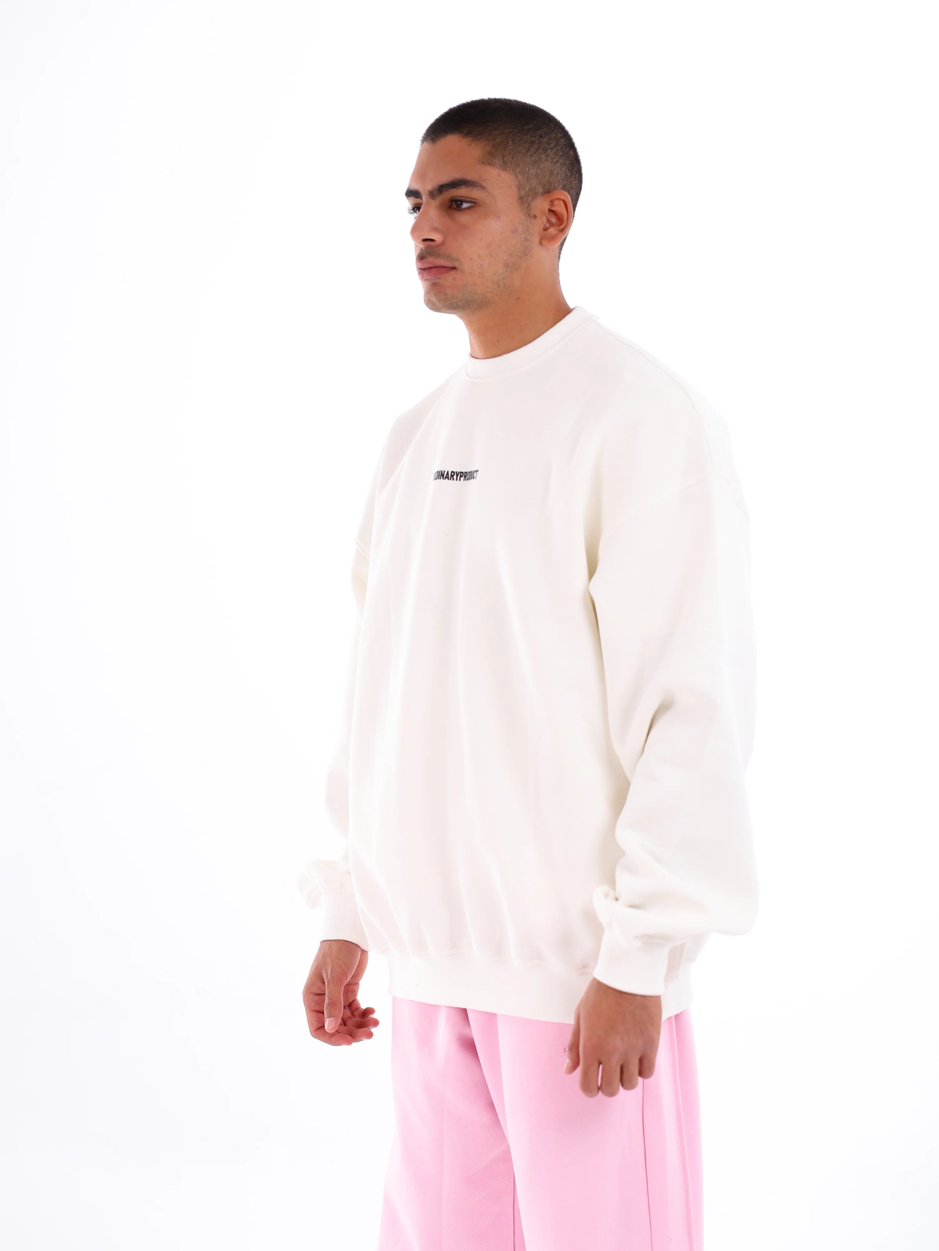Ordinary Sweatshirt - Image 25