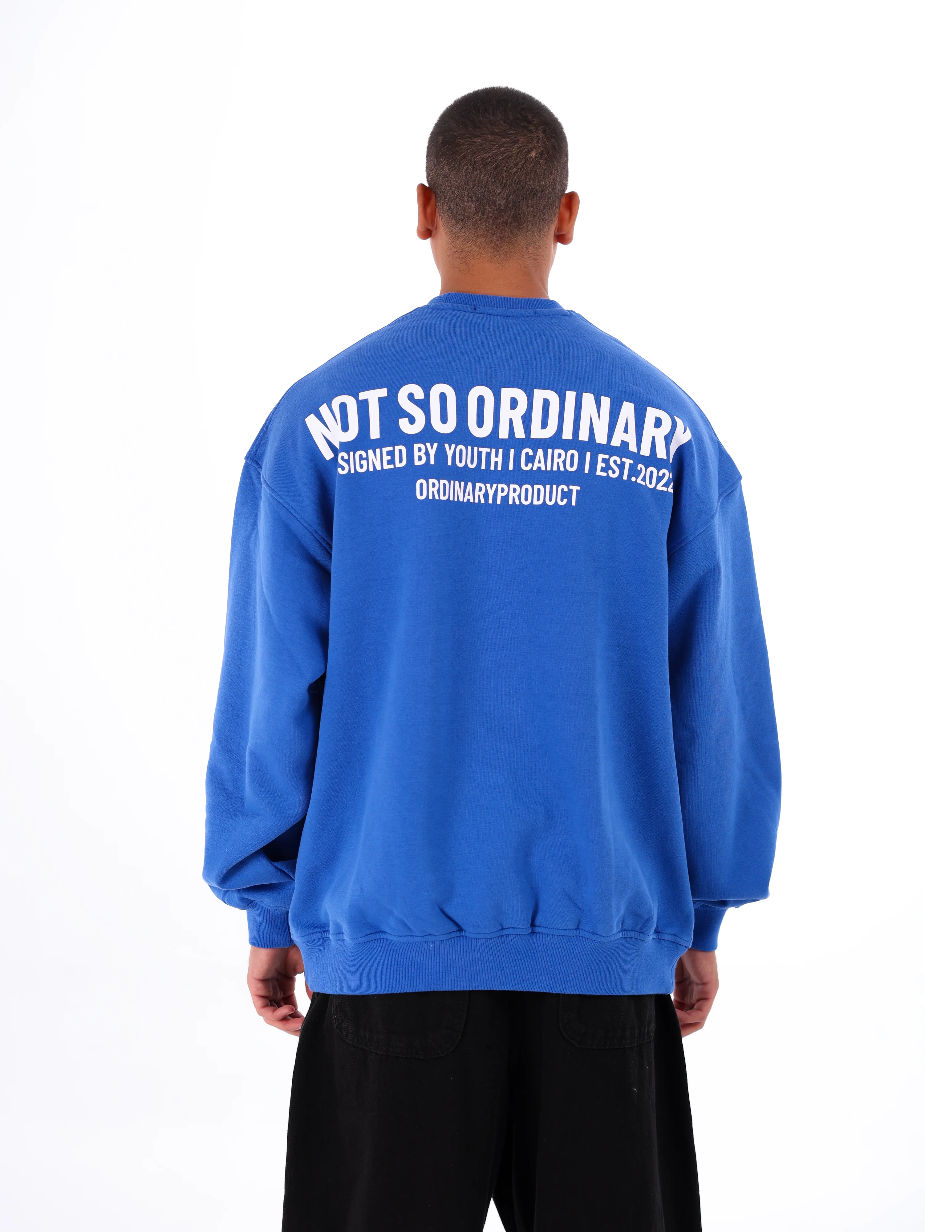 Ordinary Sweatshirt - Image 3