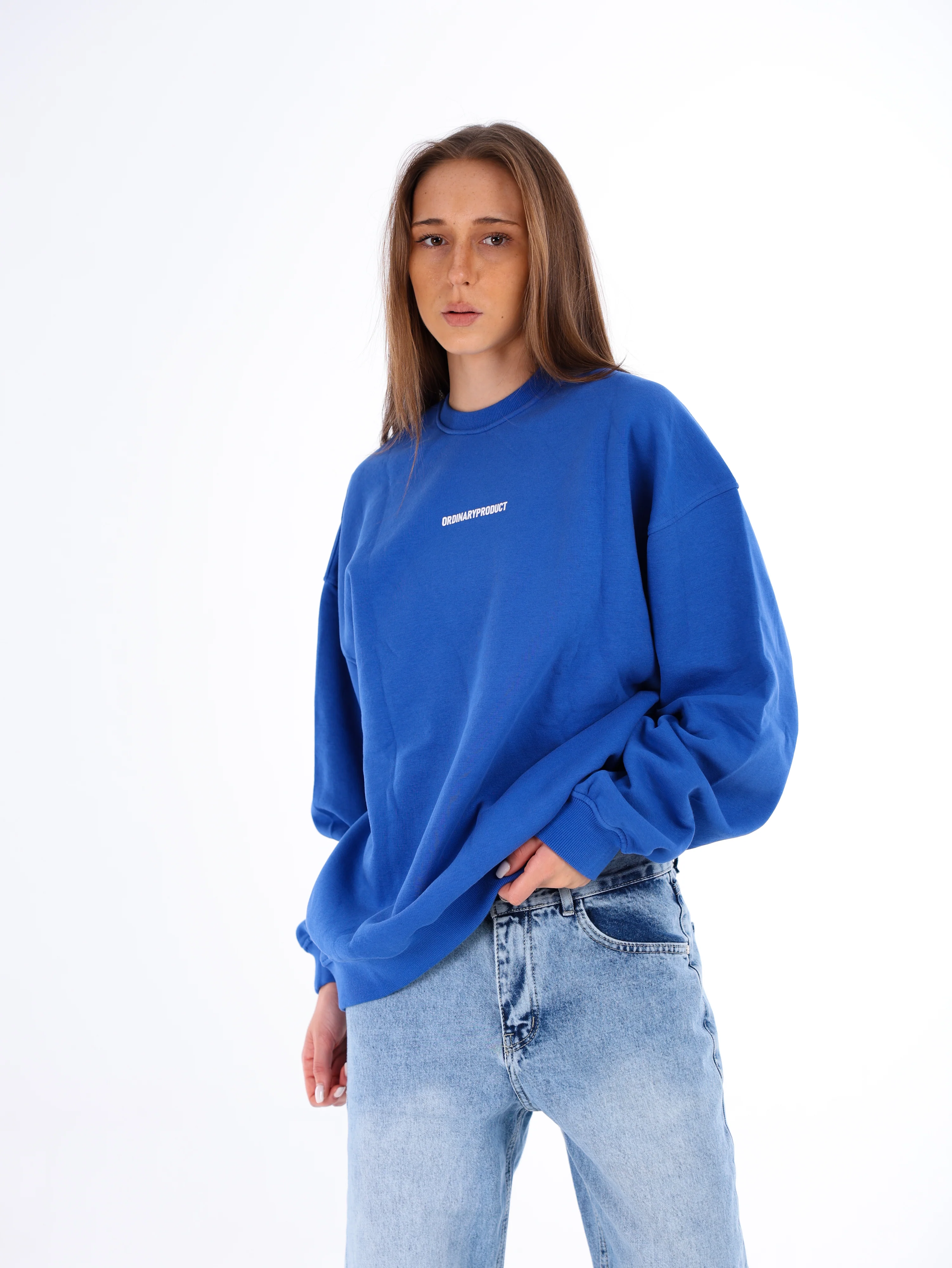 Ordinary Sweatshirt - Image 4