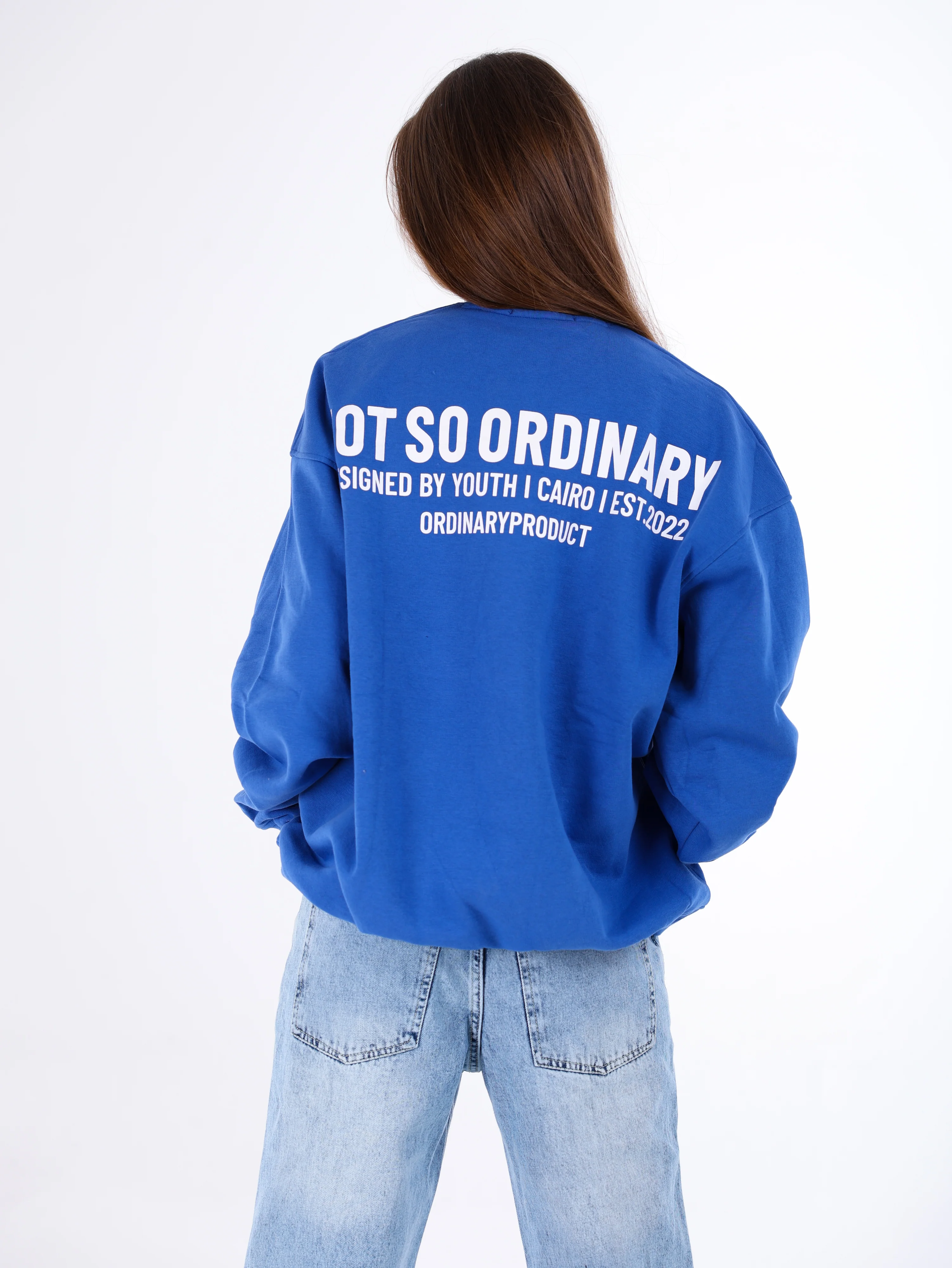 Ordinary Sweatshirt - Image 6